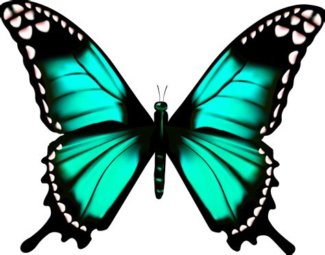 Butterfly Transparency And Translucency Green Butterfly Decorative
