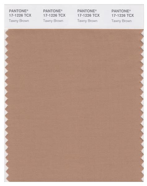 Pantone Smart 17 1226 Tcx Color Swatch Card Tawny Brown