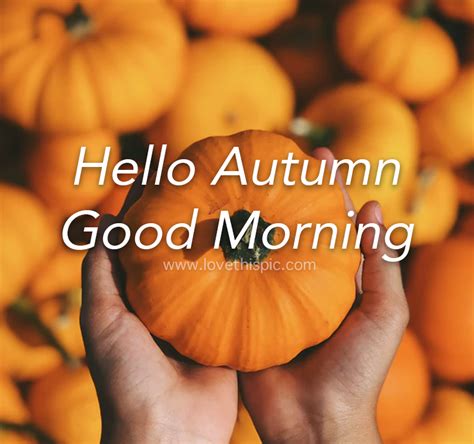 Single Pumpkin Hello Autumn Good Morning Quote Pictures Photos And