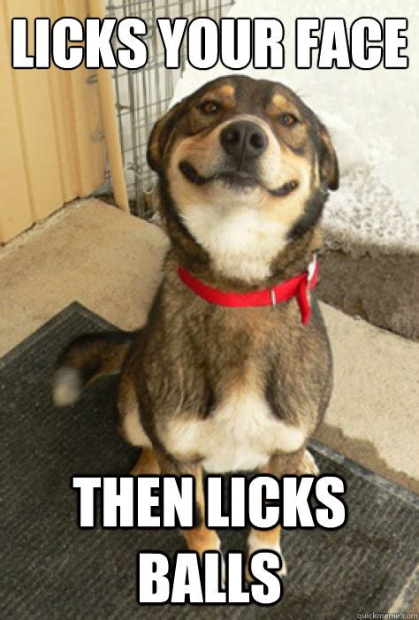 Licks Your Face Then Licks Balls Good Guy Dog Quickmeme