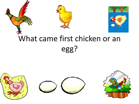 Ppt What Came First Chicken Or An Egg Powerpoint Presentation Free