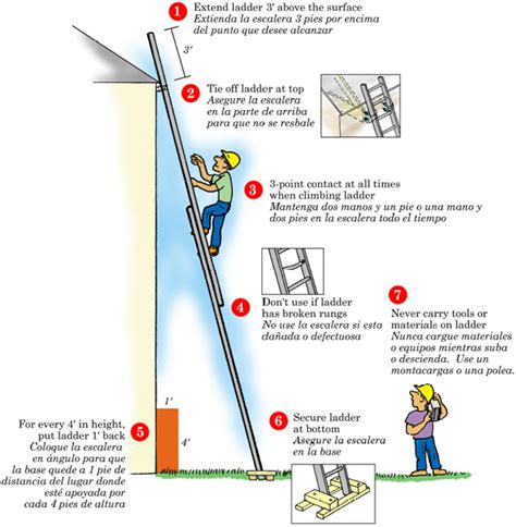 Elcosh 7 Steps To Ladder Safety