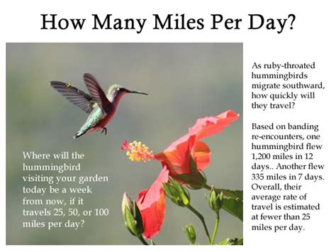 Combined with the previous stat, this also implies that men are driving much faster compared to women. How Many Miles?