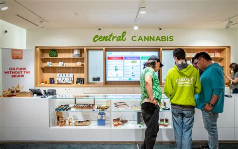 Cannabis Retail Guide Central Cannabis London