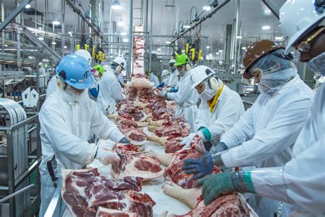 One Of The Largest Meat Processing Factories In Ukraine For Sale Or Co Investing Inventure
