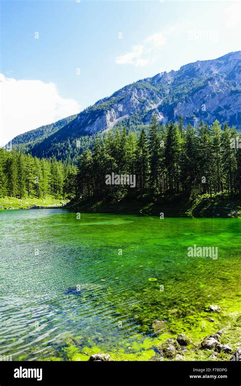 Tragoess Green Lake Gruener See Austria Styria Stock Photo Alamy