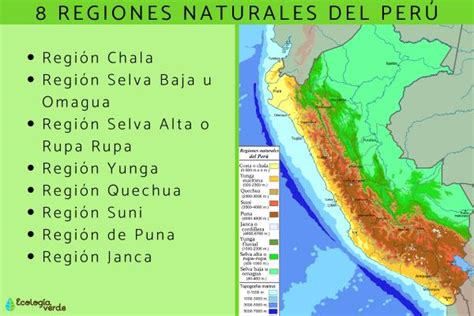 8 Regiones Naturales Del PerÚ Resumen Con Mapa