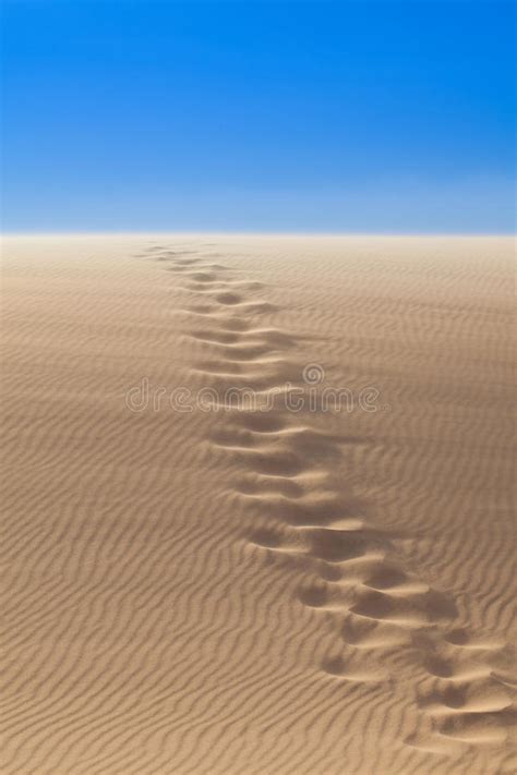 Foot Path In Desert Stock Image Image Of Asia Orange 79665119