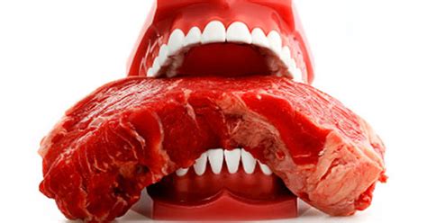 Interview a specialist of a pharmacological museum about the problem you are interested in. 10 Ways Meat Can Make You Sick - CBS News