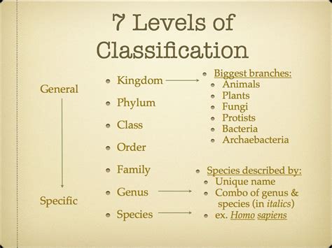 7 Levels Of Classification