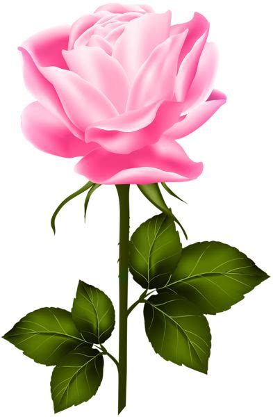 Pink Rose With Stem Png Clip Art Flower Clipart Beautiful Rose