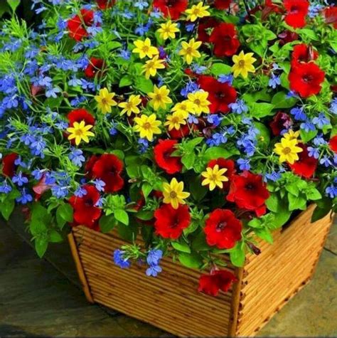 30 Beautiful Summer Container Garden Flowers Ideas Doitdecor