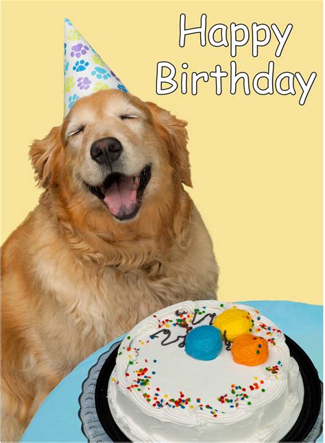Sweet Dog Wishing Happy Birthday Wish Birthday Birthday Wishes