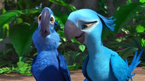 Blue Macaw Parrot From The Movie Rio Is Now Officially Extinct