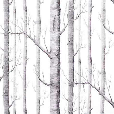 Fine Decor Birch Tree Wallpaper Wallpaper Rolls And Sheets Home And Garden