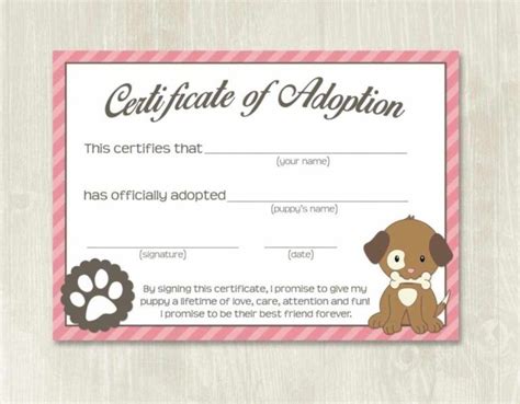 Pet Adoption Certificate Template Fake Adoption Papers For Fun Child