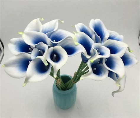 Picasso Calla Lilies Royal Blue Bouquet Callas Flowers For Etsy