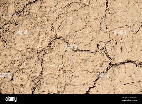 Dry Soil Cracked Muddy Ground Dried Mud With Cracks Flat Lay View