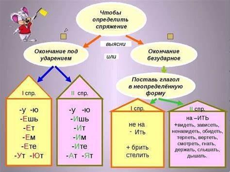 Как определить какую диету
