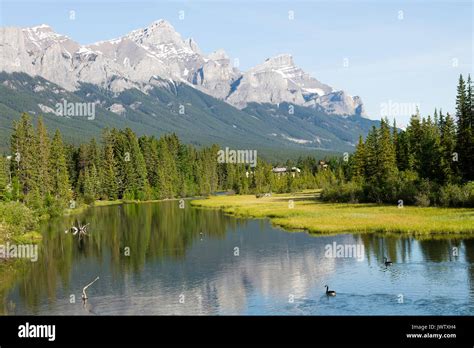 The Bow River Flowing Through Canmore In Banff National Park With Pine