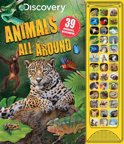 Discovery Animals All Around Book By Courtney Acampora Official