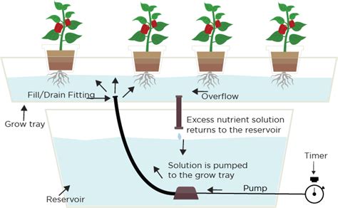 Ebb And Flow System Superior Organics