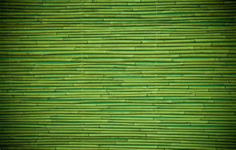 Green Bamboo Wallpapers Top Free Green Bamboo Backgrounds