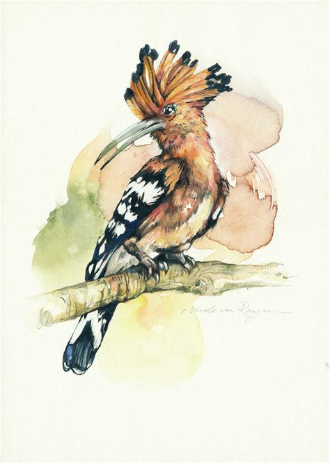 Hoopoe Nicole Van Rooyen Art