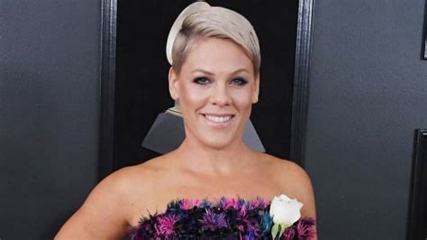 Pink Reveals She Underwent Major Hip Surgery Double Disk Replacement