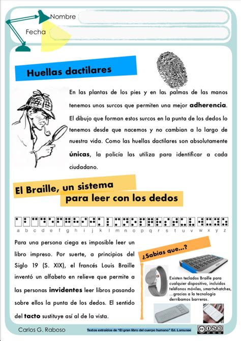 Textos Informativos Huellas Y Braille Actiludis