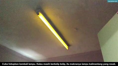 It comprises 73% of the island's area. Cara Tukar Starter Dan Lampu Kalimantang - YouTube