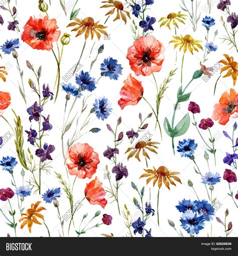 Wildflowers Vector And Photo Free Trial Bigstock