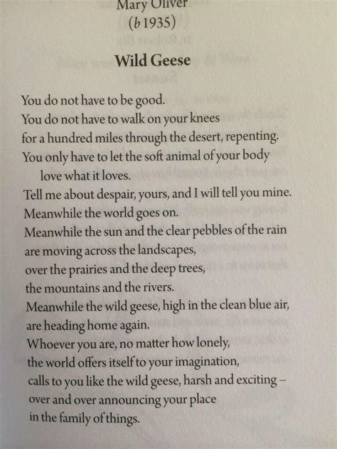 Austin Kleon — Mary Oliver “wild Geese” From New And Selected