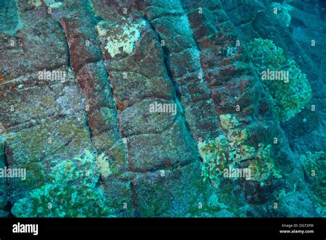 Volcanic Rocks Underwater View Española Island Galapagos Islands