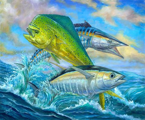 Mahi Mahi Fish Wallpaper