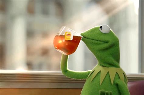 5 Things Kermit The Frog Can Teach Us About Life Prepared To Be A Pioneer