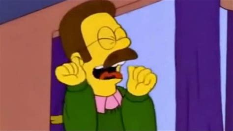 Ned Flanders Wiki The Simpsons Amino