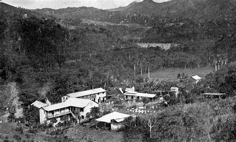 The islands of puerto rico are full of little things that will take your breath away. Coffee Plantation, Puerto Rico 1907? | Scanned picture from … | Flickr