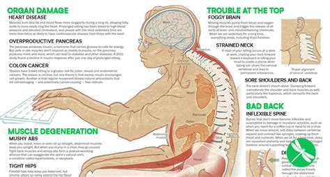 Health Dangers Of Sitting Too Long And How It S Slowly Crippling