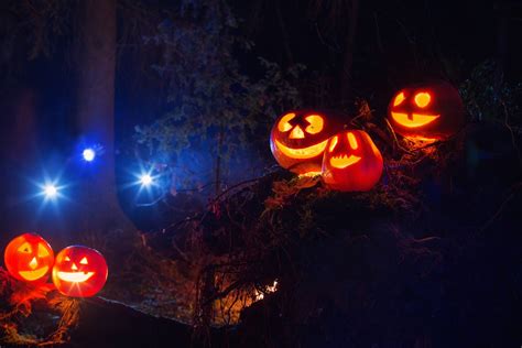 Haunted Arcade Halloween Seasonal Attractions Tapinto