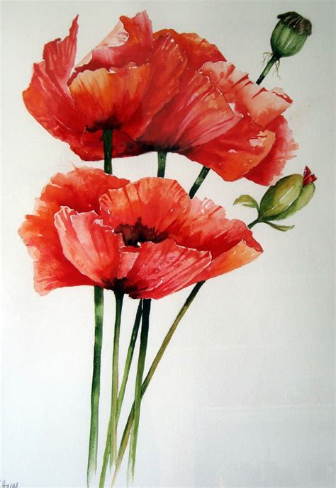 Catch Up Poppies Roses And Dandelions Flower Painting Watercolor