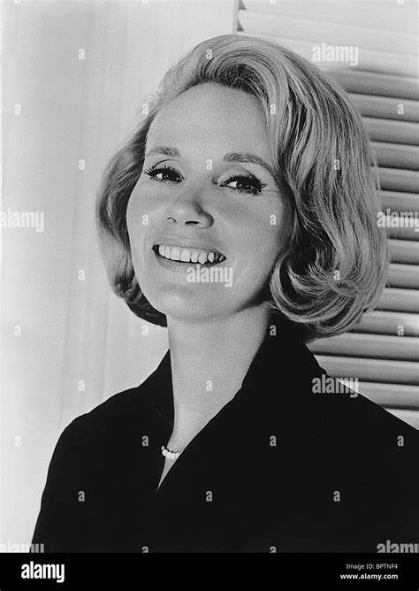 1964 Schauspielerin Eva Marie Saint Stockfotos Und Bilder Kaufen Alamy