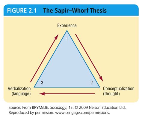 Image Result For Sapir Whorf Hypothesis Triangle Hypothesis Sociology