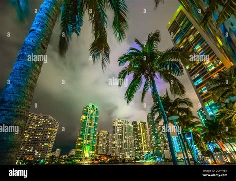 Palm Trees And Skyscrapers In Miami Riverwalk Florida Usa Stock Photo