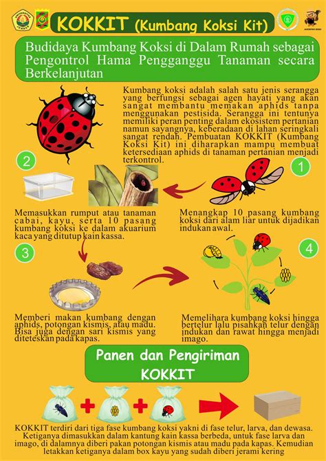 Namun, walaupun seperti itu, cara ini termasuk cara yang ampuh untuk membasmi hama tikus. KOKKIT : Budidaya Kumbang Koksi di Dalam Rumah sebagai ...