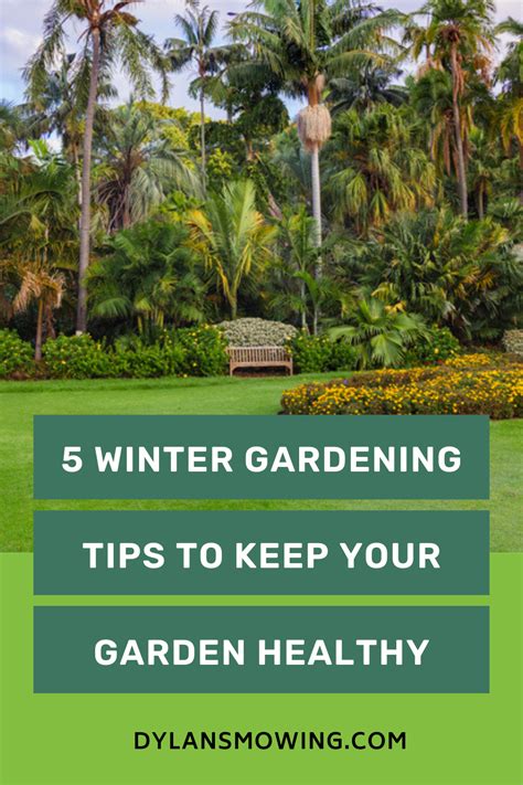 5 Winter Gardening Tips To Keep Your Garden Healthy Dylans Mowing