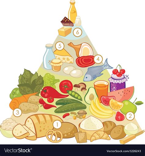 Omnivore Food Pyramid Royalty Free Vector Image