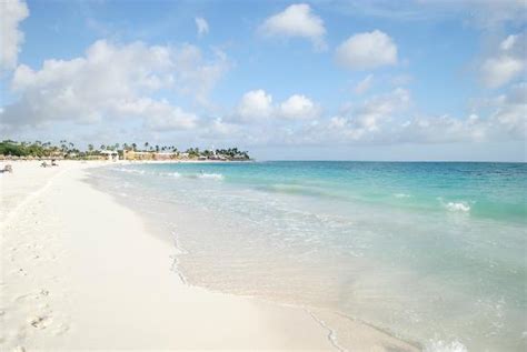 Druif Beach Picture Of Divi Aruba All Inclusive Oranjestad Tripadvisor