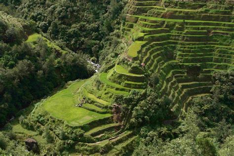 Image result for banaue rice terraces