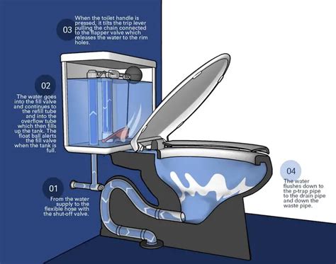 Toilet Components Explained Plumbing Diagrams And Functions